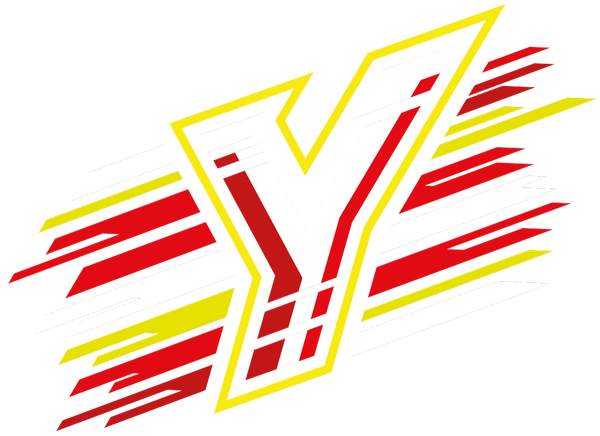 Vrielink Motorsport